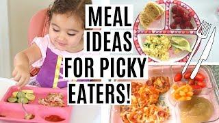WHAT MY TODDLER EATS IN A DAY  TODDLER MEAL IDEAS FOR PICKY EATERS