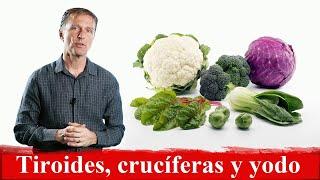 Dr Berg aclara la confusión entre la tiroides las verduras crucíferas y el yodo