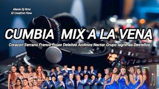 CUMBIA MIX DELEITES ANDINOS CORAZON SERRANO NECTAR AGUA MARINA WIDINSON GRUPO LAGRIMAS DESTELLOS