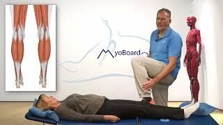 MyoBoard2go Beine  Selbstbehandlung von Triggerpunkten gegen Schmerzen an Hüfte oder Knie