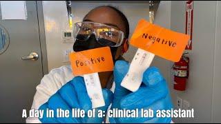 Day in the Life of a CLINICAL LAB ASSISTANT