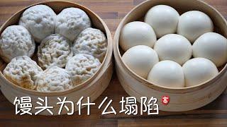 Steamed Buns