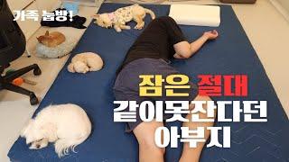 강아지랑 같이 자는거 아니야  유기견유기견입양