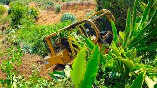 This is what happened when a rogue Caterpillar D6R XL bulldozer operator crashed through the bushes