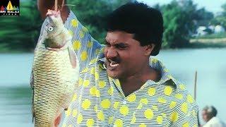 Sunil Best Comedy Scenes Back to Back  Telugu Movie Comedy  Vol 1  Sri Balaji Video