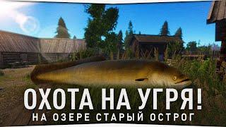 Озеро Старый Острог • Угорь и Амуры • Русская Рыбалка 4