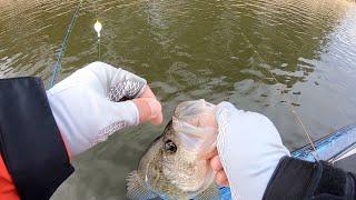 CRAPPIE FISHING With LIVE MINNOWS And A SLIP BOBBEREASY WAY To CATCH CRAPPIE