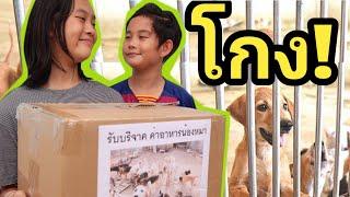 โกงเงินบริจาค หากินกับความสงสาร หนังสั้น  เจไจ๋แปนฟิล์ม