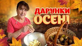 Наталя Фаліон - Дарунки осеніГрибна аномалія