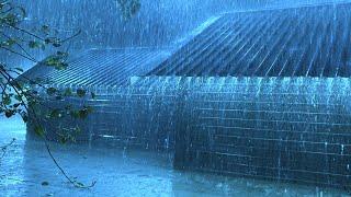 Wipe off Insomnia to Sleep Instantly with Heavy Rain & Furious Thunder Sounds on a Tin Roof at Night