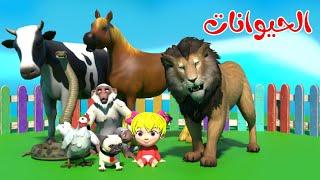 اغنية الحيوانات -  توت توت  قناة بون بون للأطفال