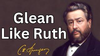 Glean Like Ruth  Charles Spurgeon  Devotional  Morning & Evening Daily Readings