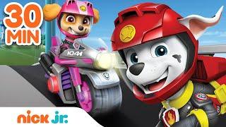 PAW Patrol Moto Pups & More 30 MINUTE MARATHON  Nick Jr.