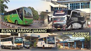 SHELTER BUS SERING KOSONG  Situasi Terminal Giwangan 19 Juli 2021 Pagi