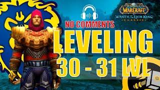 WOTLK Leveling Alliance Guide Paladin 30-31 One hour preparation WoW 4KASMR