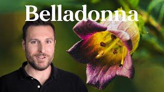 How This Poisonous Plant Became Medicine Belladonna  Patrick Kelly