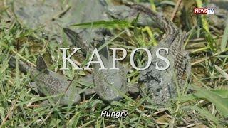 Front Row Kapos Full Episode with subtitles