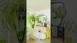 Air Purifying Bathroom Plants