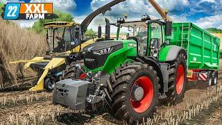 LS22 Start der XXL-Pappelernte - Katastrophe  XXL Farm #66  FARMING SIMULATOR 22