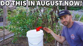 4 Critical August Garden Tasks Every Gardener Should Do NOW