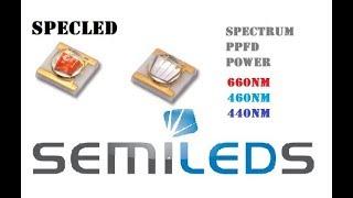 LEDs for plants by Semileds. 440nm 460nm and 660nm. Measurement of PPFD comparison with Luxeon