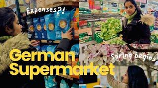 Grocery ഷോപ്പിംഗ് എത്ര ചിലവ് വരും?  Supermarket Expenses in Germany  Malayalam Vlog