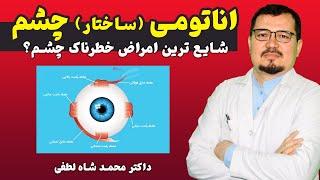 ساختار چشم یا اناتومی چشم چیست  امراض خطر_ناک چشم ‍️ داکتر محمد شاه لطفی