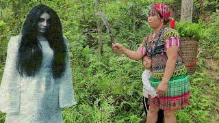 TIMELAPSE 300 Days of Single Mothers in Danger in the Forest -My Family Farm is Gradually Completed