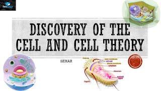 Discovery Of The Cell And Cell Theory