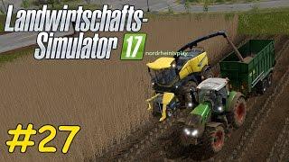 Lets Play LS17 Forstwirtschaft Teil 27 - PAPPEL ERNTE  Liongamer1