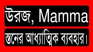 ১৩. উরজ Mamma সাদি ثَدِي। বলন কাঁইজি।