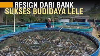 RESIGN DARI BANK BANTING SETIR BUDIDAYA LELE KONSUMSI SISTEM KOLAM BUNDAR