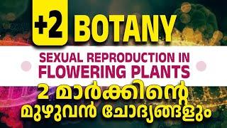 Plus Two Botany  Sexual Reproduction in Flowering Plants  2 Mark Questions  Hari Sir