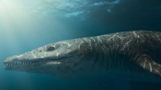 The Tyrannosaurus Rex of the Seas  Attenborough and the Giant Sea Monster  BBC Earth