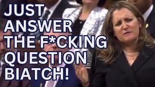 Deputy Dog Freeland Fails To Answer Simple Question 