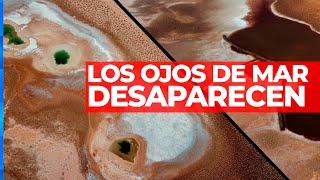 Los Ojos de Mar en Salta están desapareciendo  PARAÍSO PERDIDO