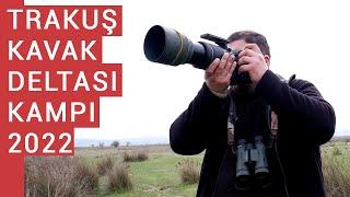 Trakuş Kavak Deltası Kuş Gözlem Kampı 2022