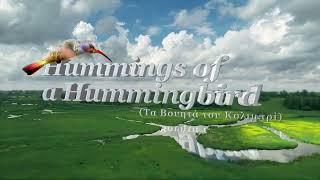 Hummings of a Hummigbird Trailer  2023