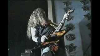 DIMEVISION  Dimebag Darrell Documentary  Full DvD