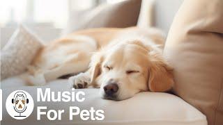 Soothing Music for Dogs to Calm Down Relax & Sleep  Dog Music Therapy Calming Aid for Relaxation