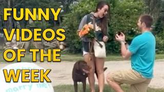 Funniest Moments Of The Week  Love is in the Air 