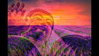 RAISE VIBRATION - 528Hz Positive Energy - Be Positive Minded Calm & Balanced Meditation Music