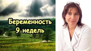 Беременность 9 недель