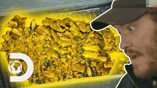 The Biggest Gold Finds Of The Season I Gold Rush White Water