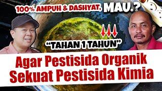 AGAR PESTISIDA ORGANIK SEKUAT PESTISIDA KIMIA TAHAN 1 TAHUN MAU.?  Insektisida Nabati  PESNAB