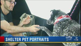 Shelter pet portraits