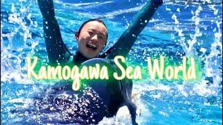ランちゃんに届け..！圧巻のシャチパフォーマンス　鴨川シーワールド　Kamogawa Sea World