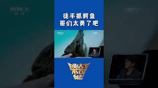 徒手抓鳄鱼 哥们太勇了吧！看得我大气不敢喘一口！ 挑战不可能 Impossible Challenge