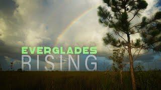EVERGLADES RISING Can we save Floridas embattled wetland ecosystem?