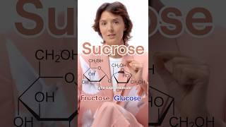 Chocolate Equals Apple? The Surprising Sugar Truth = #sucrose #glucose #science